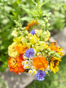 Bottomless Blooms Vase Club Bi-Weekly