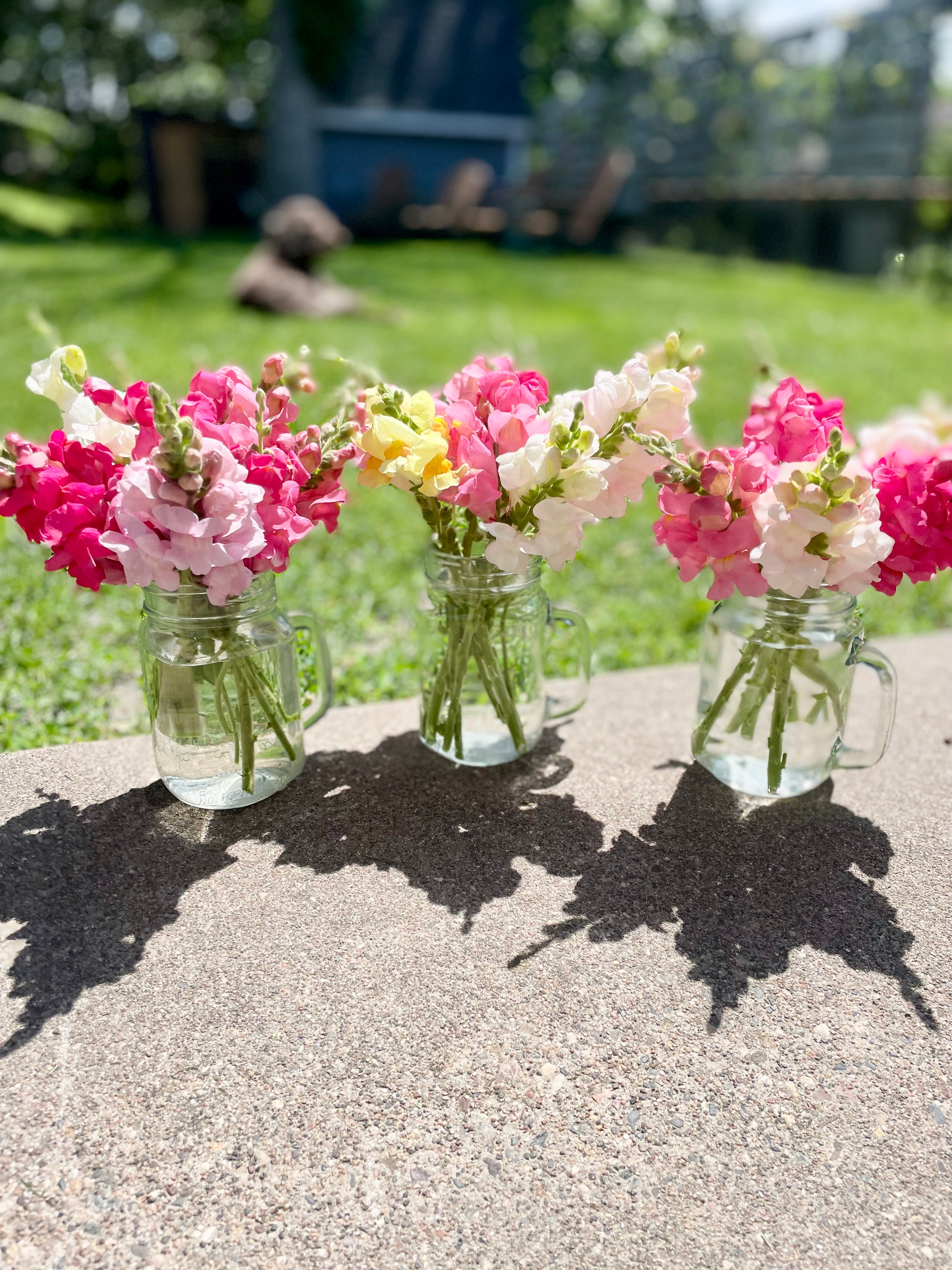 Small Mix Arrangement